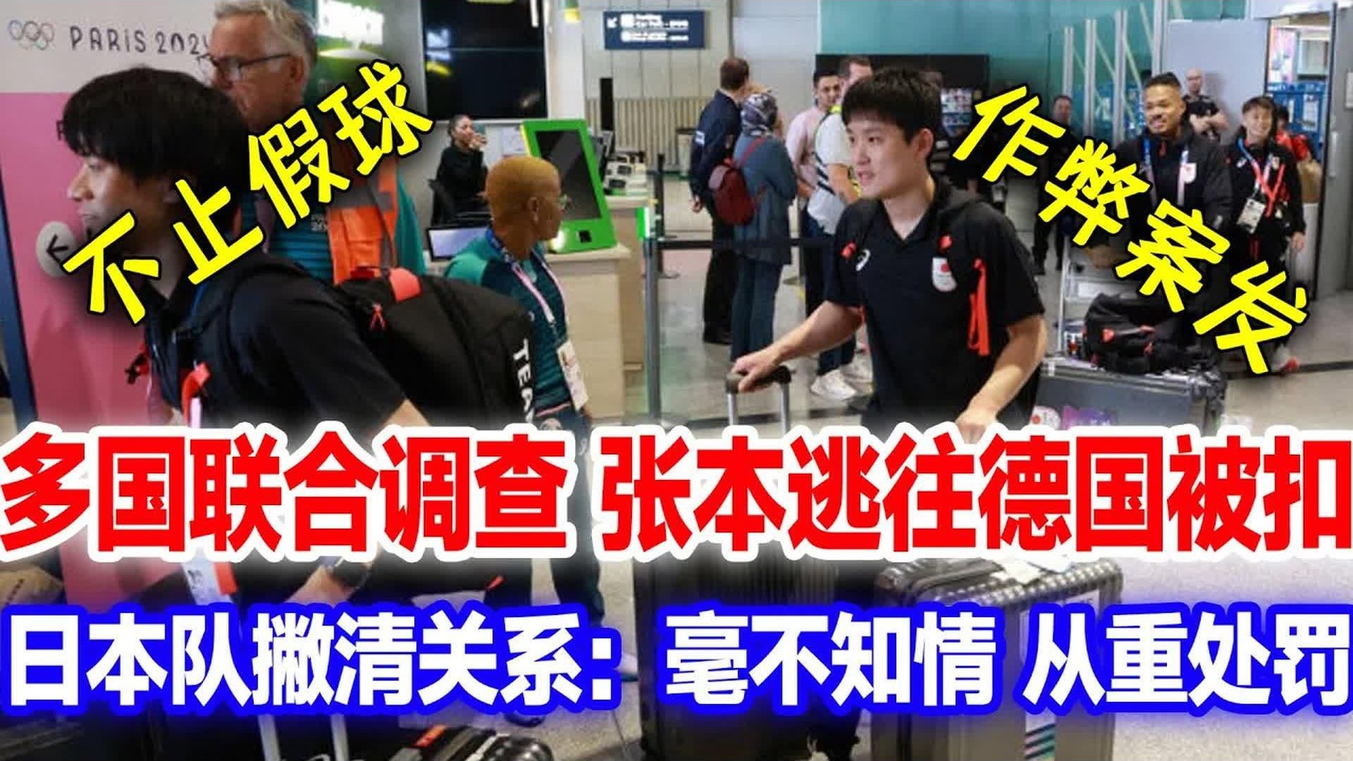德国队完胜日本队，张本智和扛起全队的简单介绍